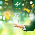 Win a Trip to Hawaii at Mr Green